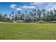 A playground with slides and climbing structures surrounded by trees and green grass at 14038 Scarlet Aster Aly, Winter Garden, FL 34787