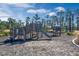 A playground area features wooden structures, a slide, and a mulch ground covering surrounded by landscaping and trees at 14038 Scarlet Aster Aly, Winter Garden, FL 34787