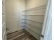 View of the walk-in pantry featuring wire shelving and wood-look flooring at 14046 Scarlet Aster Aly, Winter Garden, FL 34787