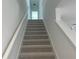 Upward view of the carpeted staircase featuring white walls and handrails at 14046 Scarlet Aster Aly, Winter Garden, FL 34787