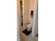 A clean and simple bathroom with a toilet and storage closet at 13103 Mulberry Park Dr # 824, Orlando, FL 32821