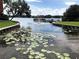 Beautiful waterfront view, featuring a gazebo and vibrant lily pads enhancing the scenery at 750 E Michigan St # 163, Orlando, FL 32806