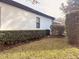 Landscaped side yard with manicured hedges at 32702 View Haven Ln, Sorrento, FL 32776