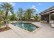 Private pool surrounded by palm trees, outdoor seating, and a well-manicured yard at 208 Green Lake Cir, Longwood, FL 32779