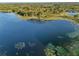 Wide aerial view of lakefront property and surrounding landscape at 39250 Forest Dr, Eustis, FL 32736