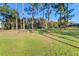 Spacious backyard with tall pines, providing shade and privacy at 39250 Forest Dr, Eustis, FL 32736