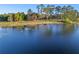 Peaceful lakefront view with calm waters and lush vegetation at 39250 Forest Dr, Eustis, FL 32736