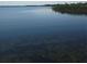 A view of the lake, with reeds lining the shore at 4904 W Fountainwood Dr, St Cloud, FL 34772