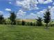 Serene backyard view with lush grass and distant lake at 7367 Catania Loop, Clermont, FL 34714