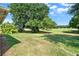 Wide backyard with well maintained lawn and mature trees at 4223 Arlington Ridge Blvd, Leesburg, FL 34748