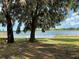 Expansive lake view with large shady trees, Spanish moss, and green grass at 4790 Anderson Rd, Orlando, FL 32812