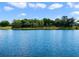 This scenic view showcases the lake and the treeline along the shore at 1911 Lake Markham Preserve Trl, Sanford, FL 32771