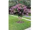 A stunning Crepe Myrtle tree is the focal point of the landscaped front yard of the home at 4436 Yachtmans Ct, Orlando, FL 32812