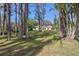 Peaceful lake view through a grove of trees at 1126 Kelso Blvd, Windermere, FL 34786