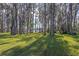 Serene lakefront view from a property with tall trees at 1126 Kelso Blvd, Windermere, FL 34786