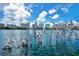 Scenic lake view with bird sculptures and city skyline, offering a serene and artistic ambiance at 809 E Ridgewood St, Orlando, FL 32803