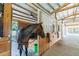 Individual horse stall with wood construction and shavings at 213 Crown Oaks Way # 213, Longwood, FL 32779