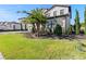 Landscaped yard with palm trees and a gray paved driveway at 16829 Bolsena Dr, Montverde, FL 34756