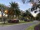 Palm trees with lights lining a residential community entrance at 3734 Hasting Ln, Clermont, FL 34711