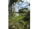 Backyard view featuring mature trees and a glimpse of a tranquil lake at 1780 Converse Ct, Deltona, FL 32738