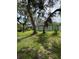 Spacious backyard with lush green grass, mature trees, and a serene atmosphere at 1780 Converse Ct, Deltona, FL 32738