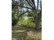 Backyard view featuring mature trees and a glimpse of a tranquil lake at 1780 Converse Ct, Deltona, FL 32738