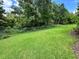Green backyard with plush grass, a black metal fence, and a lush tree line at 681 Coronado Dr, Kissimmee, FL 34759