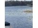Beautiful lake view with tranquil water and lush shoreline vegetation, creating a serene atmosphere at 3432 Westchester Square Blvd # 205, Orlando, FL 32835