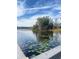 Picturesque lake view with lily pads and reflections of trees, creating a serene and natural setting at 3432 Westchester Square Blvd # 205, Orlando, FL 32835