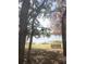 Scenic lake view through trees, featuring a park bench for enjoying the natural surroundings at 3432 Westchester Square Blvd # 205, Orlando, FL 32835
