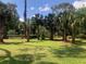 Expansive backyard lawn dotted with mature palm trees, offering a private and serene outdoor space at 5100 Linwood Cir, Sanford, FL 32771