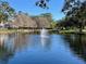 Tranquil lake view with fountain and trees at 1707 Terra Cota Ct, Orlando, FL 32825