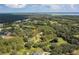 Aerial view of a home and outbuilding with a pond surrounded by trees and greenery at 2620 Osceola Bluff Ln, Geneva, FL 32732