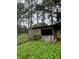 A small shed-like structure is nestled among tall trees in the backyard, adding character to the property at 2620 Osceola Bluff Ln, Geneva, FL 32732