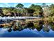 Tranquil lakefront view with lush landscaping and palm trees at 113 Rogues Retreat, Davenport, FL 33897