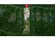 Bird's-eye view of the property and surrounding neighborhood at 16828 Vinci Way, Montverde, FL 34756
