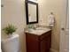 Compact bathroom with a granite vanity, decorative mirror, and well-placed accent plants at 3804 Janie Ct, Orlando, FL 32822