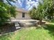 Backyard patio area with a small palm tree and a lush, green lawn at 5610 King James Ave, Leesburg, FL 34748