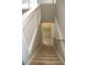 Carpeted stairs descending with white railings, offering a clear view of the lower level and decor at 4901 Shoreline Cir, Sanford, FL 32771