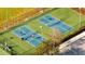 Two well-maintained pickleball courts in a sunny area at 3201 Songbird Cir, Harmony, FL 34773