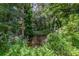 Lush backyard with dense vegetation, surrounding trees, and a creek running through the beautiful landscape at 668 Coral Way, Winter Springs, FL 32708