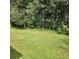 Large backyard with beautiful green grass and plenty of mature trees at 20319 Macon Pkwy, Orlando, FL 32833
