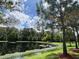 Serene pond surrounded by lush greenery and tall trees at 1366 Ponce Dr, Celebration, FL 34747