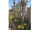 Grounds of condo complex including towering palm trees, mature plants, flowers and path to lake at 588 Orange Dr # 131, Altamonte Springs, FL 32701