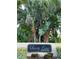 Sandy Cove Condominiums signage surrounded by lush greenery and tropical plants at 588 Orange Dr # 131, Altamonte Springs, FL 32701