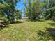 Spacious backyard with mature trees and grassy area at 3408 Lewis Ct, Orlando, FL 32805