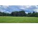 Wooded area and open grass at 2661 Waccassa St, Geneva, FL 32732