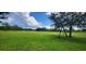 Spacious grassy lot with trees at 2661 Waccassa St, Geneva, FL 32732