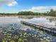 Wooden dock extending into a lake filled with lilies at 226 Mitnik Dr, Deltona, FL 32738