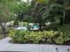 Lush backyard with beautiful plantings around the pool at 10161 Culpepper Ct, Orlando, FL 32836